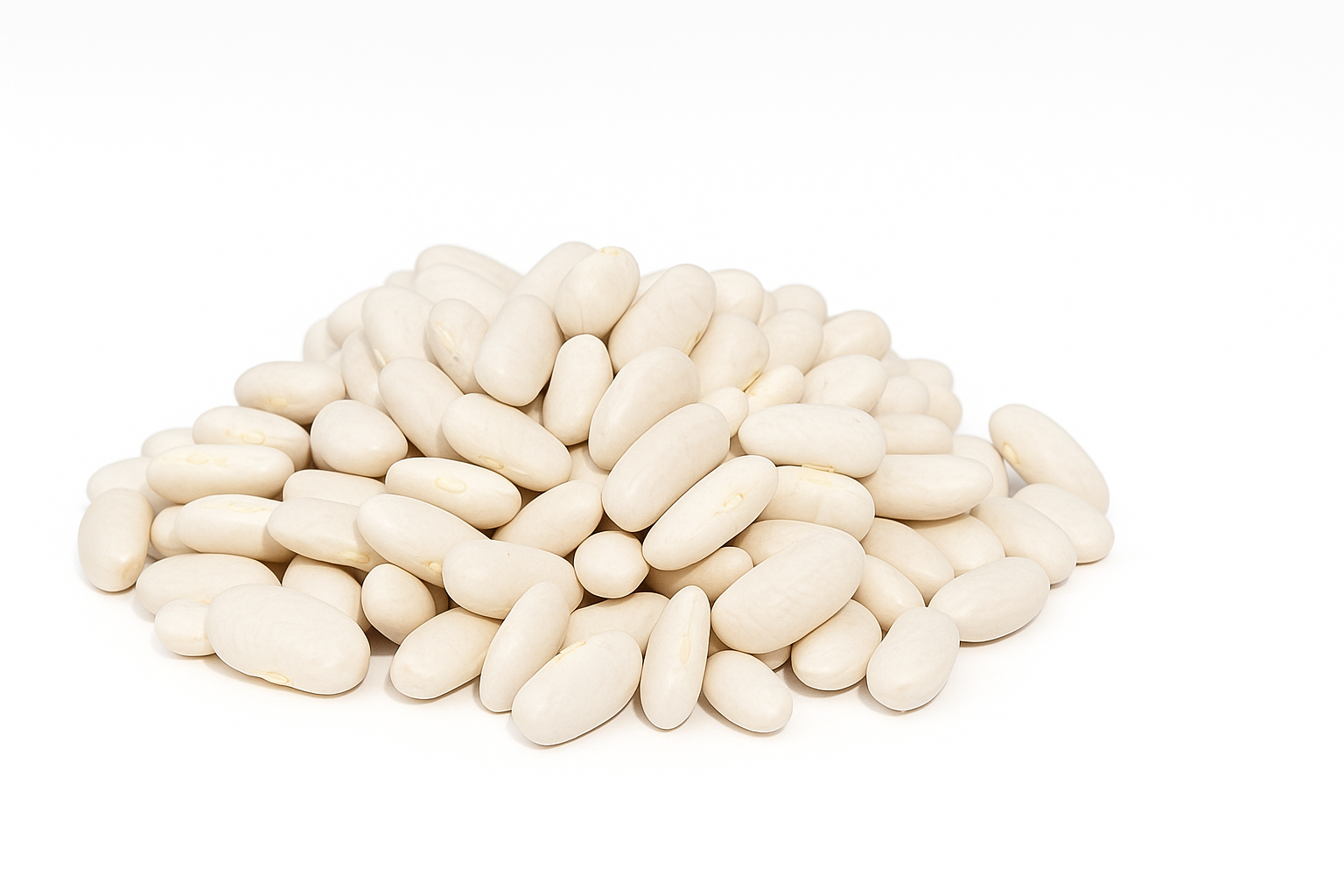 White Beans (Safed Rajma)